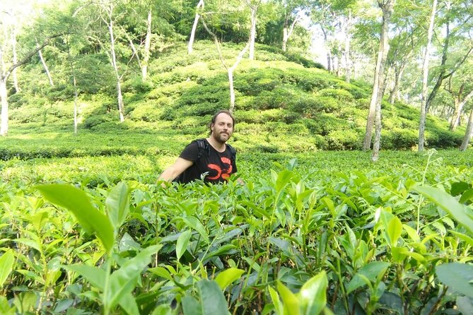 Sreemangal Day Tour to the Most Highlighted Places - Scenic Landscapes