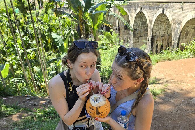 Sri Lanka 10 Day Guided Tour with Meals and Transfers - Day 7 & 8: Tea, Trains, and Scenic Hikes