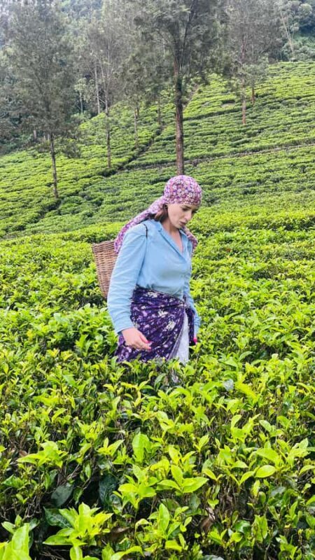 Sri Lanka: 10-Day Luxury private Tour with hotels - Final Thoughts