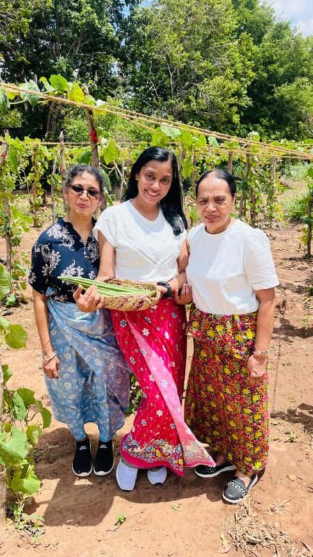 Sri Lanka: 10-Day Luxury private Tour with hotels - Exploring the 10-Day Luxury Private Tour of Sri Lanka  