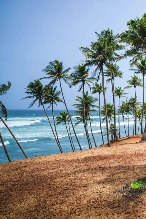 Sri Lanka: 10-Days Beachside Honeymoon Tour - Detailed Itinerary
