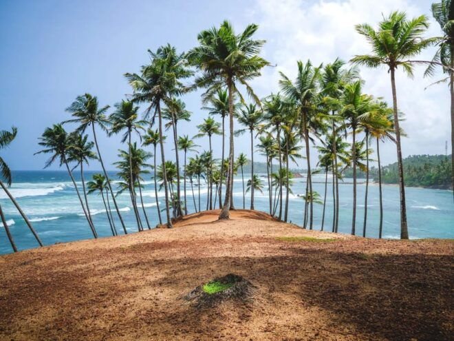 Sri Lanka: 10-Days Beachside Honeymoon Tour - Inclusions and Exclusions