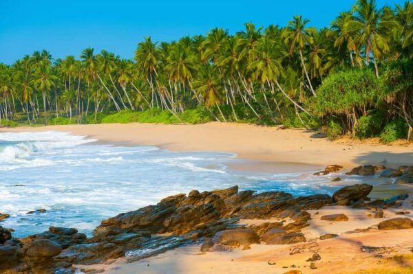 Sri Lanka: 10-Days Beachside Honeymoon Tour - Booking and Cancellation Policy