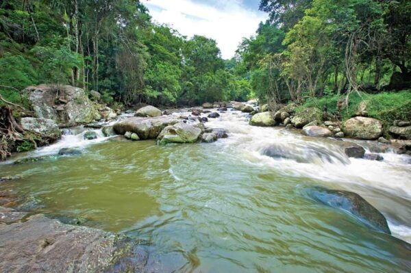 Sri Lanka: 10-Days Hillside Honeymoon Tour - Booking Information