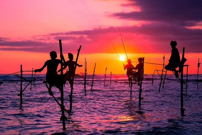 Sri Lanka 10 Days Tour Package Lifetime Experience - Comfortable Accommodations and Transportation