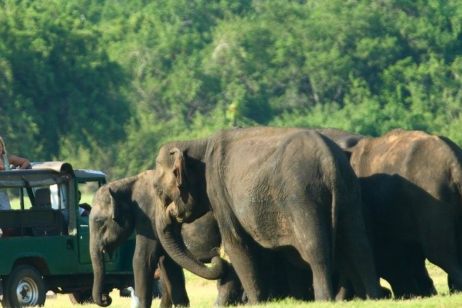 Sri Lanka 10 Days Tour Package Lifetime Experience - Adventure and Outdoor Activities