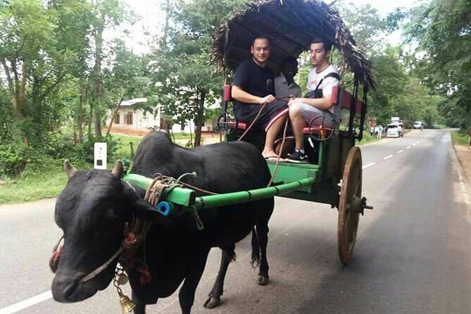 Sri Lanka: 10 Days tour with 3-4* Hotels(HB)Driver & Private Car - The Highlands and the Ella Scenic Train Ride