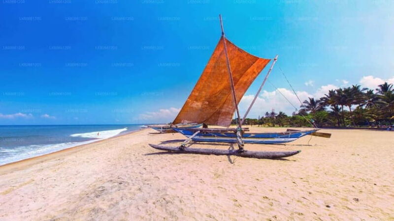 Sri Lanka 14-Day Journey: Culture, Nature & Adventure - The Sum Up