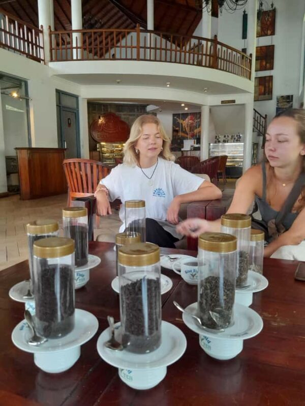 Sri Lanka: 15-Day Guided Tour with Transfers & Hotels - Who This Tour Is Perfect For