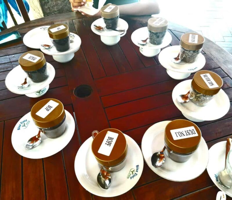 Sri Lanka: 15-Day Guided Tour with Transfers & Hotels - Good To Know  