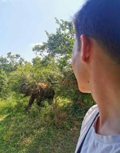 Sri Lanka: 15-DAY Luxury Tour With Accommodation + Breakfast - Frequently Asked Questions
