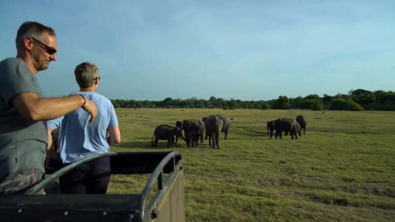Sri Lanka: 2-Day Adventure to Sigiriya, Dambulla & Kandy - Final Thoughts