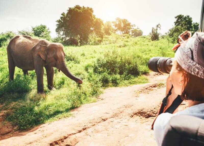 Sri Lanka 2-Day National Parks Trip, Hotel, Transport, Guide - FAQ