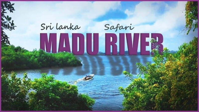 "Sri Lanka 2-Day Tour: Explore Hikkaduwa, Galle & Yala" - The Sum Up