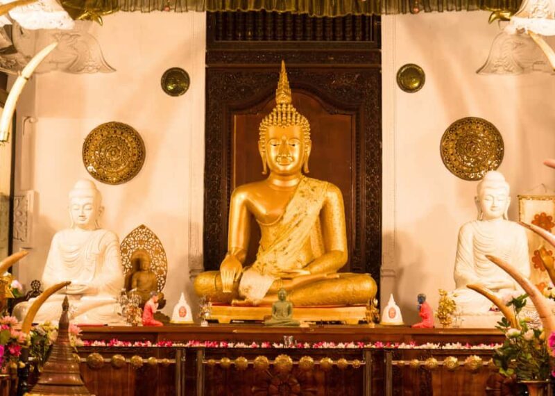 Sri Lanka 2-day Tour:Train Trip, Kandy, Nuwara Eliya, Ella - Who This Tour Is Best For