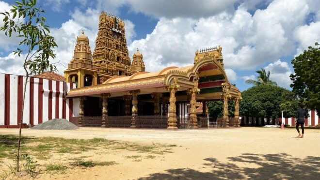 Sri Lanka: 28-Days All Ceylon Tour - Inclusions and Exclusions