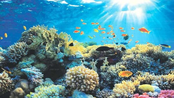Sri Lanka: 28-Days All Ceylon Tour - Frequently Asked Questions