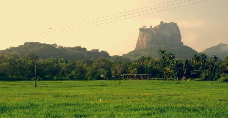 Sri Lanka: 2N3DAY Guided FULL TOUR With Hotel Accommodations - Good To Know