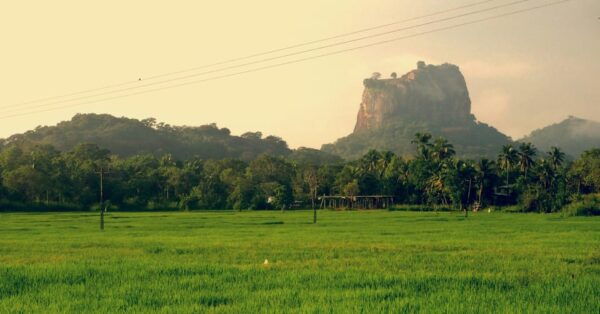 Sri Lanka: 2N3DAY Guided FULL TOUR With Hotel Accommodations - Customization Opportunities