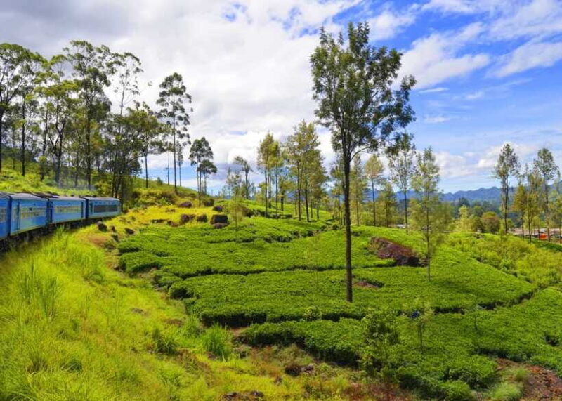Sri Lanka 3-Day - Sigiriya, Udawalawe, Kandy, Bentota, Ella - Practical Details and Value  