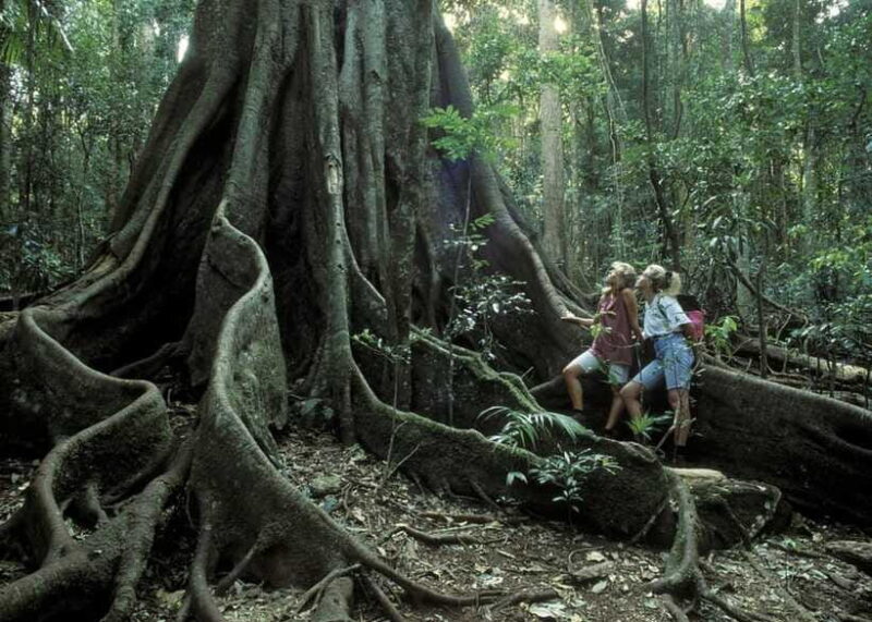 Sri Lanka 3-Day - Sigiriya, Udawalawe, Kandy, Bentota, Ella - Frequently Asked Questions