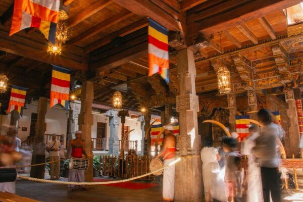 Sri Lanka 3-Day - South Coast, Cultural Triangle, Wildlife - Frequently Asked Questions
