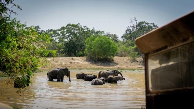 Sri Lanka 3-Day Temple, Wildlife, Waterfalls, Hill Country - Day 3: Cultural Highlights