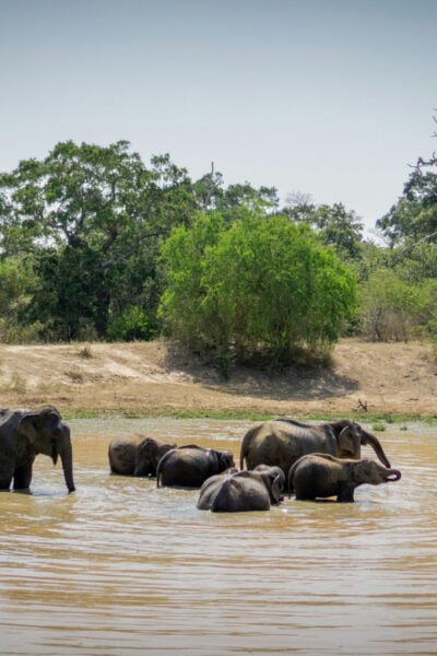 Sri Lanka 3-Day Temple, Wildlife, Waterfalls, Hill Country - Frequently Asked Questions