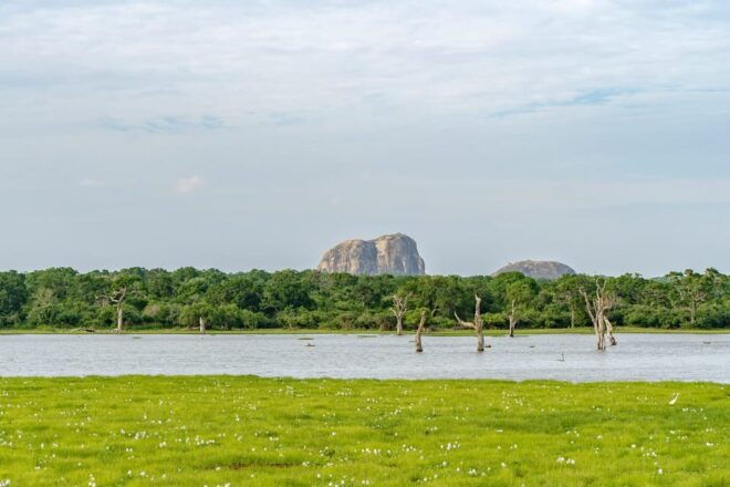 Sri Lanka 3-Day Tour, History, Nature, Culture, Adventure - Included Services and Amenities