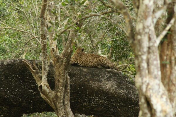 Sri Lanka 3-Day Tour, History, Nature, Culture, Adventure - Exclusions and Considerations