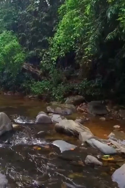 Sri Lanka 3-Day Wildlife, Rainforest, Hill Country Train - Day 1 Highlights