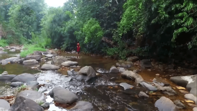Sri Lanka 3-Day Wildlife, Rainforest, Hill Country Train - Day 3 Highlights