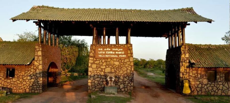 Sri Lanka 3-Day Yala Safari  Ella  Cultural Highlights - Day 3: Tea, Trains, and Scenic Stops