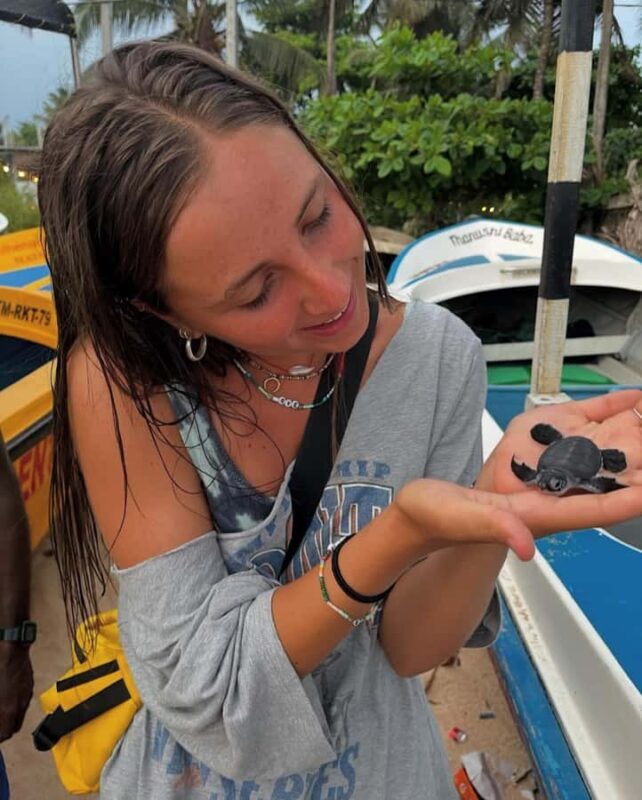 Sri Lanka: 3-Days private South Coast Tour with hotel - Final Thoughts: Who Should Consider This Tour?