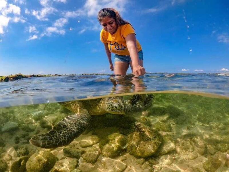 Sri Lanka: 3-Days private South Coast Tour with hotel - FAQ