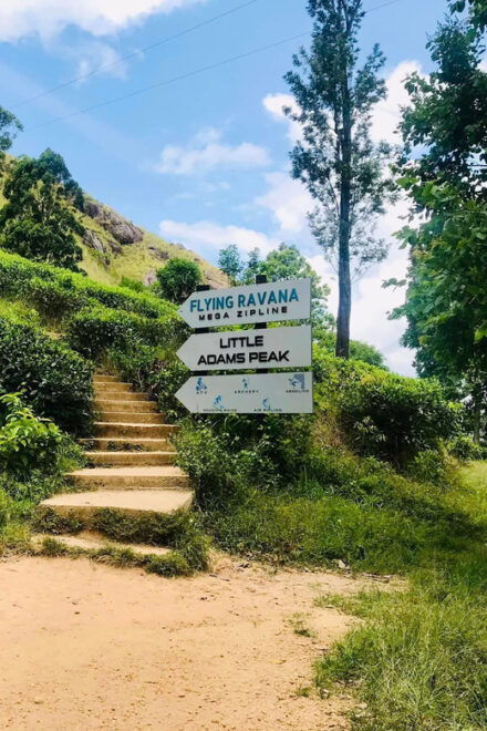 Sri Lanka: 4-Day Adventure Tour From Colombo - Day 2: Exploring Nuwara Eliya