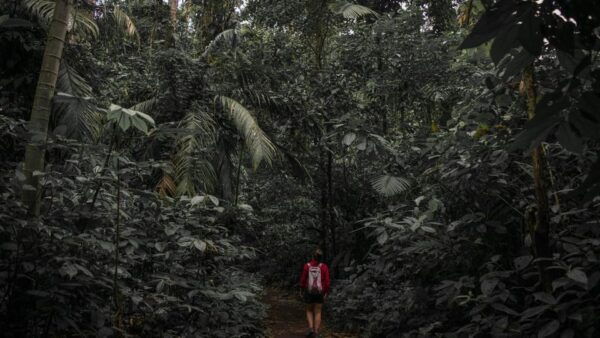 Sri Lanka: 4-Day Adventure Tour From Colombo - Included Services