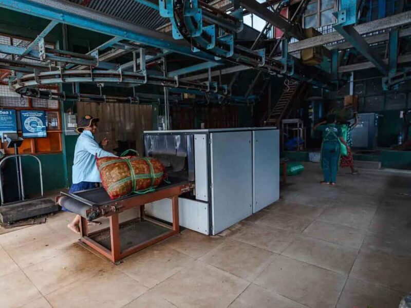 Sri Lanka: 4-Day British Ceylon Tea Trail Tour with Hotels - In-Depth Look at the 4-Day Ceylon Tea Trail Experience