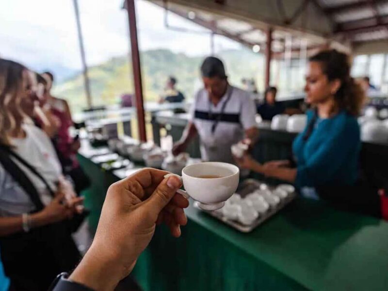 Sri Lanka: 4-Day British Ceylon Tea Trail Tour with Hotels - What Reviewers Say