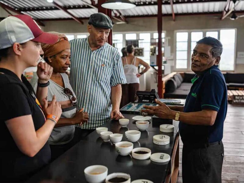 Sri Lanka: 4-Day British Ceylon Tea Trail Tour with Hotels - Who Would Love This Tour?