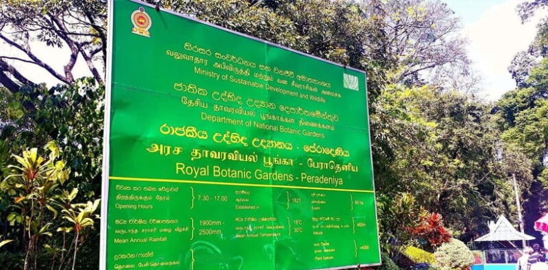 Sri Lanka 4-Day Kandy & Nuwara Eliya Tea & Hill Country Tour - Day 3: Nuwara Eliya’s Colonial Charm and Natural Beauty