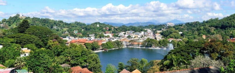 Sri Lanka 4-Day Kandy & Nuwara Eliya Tea & Hill Country Tour - Who Would Love This Tour?