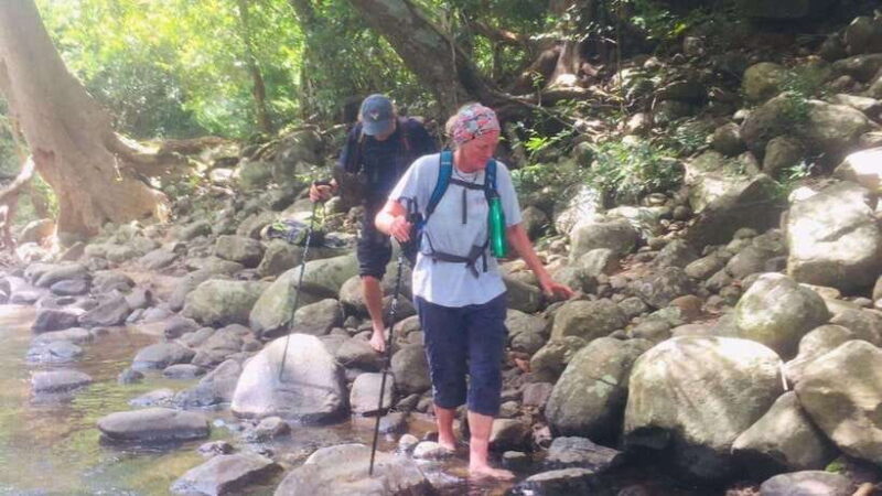 Sri Lanka: 4-day tour Ancient Ruins, Wildlife, Hill Country - Practical Details: Transportation, Accommodation, and Costs