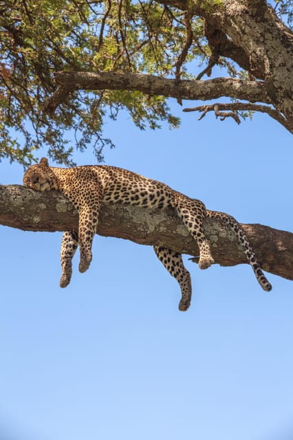 Sri Lanka: 4-day Tour Wildlife and Beach - Good To Know