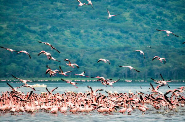 Sri Lanka: 4-day Tour Wildlife and Beach - Frequently Asked Questions