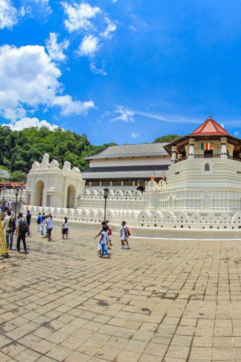 Sri Lanka: 4N5DAY Guided FULL TOUR With Hotel Accommodations - Detailed Itinerary