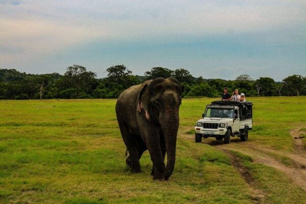 Sri Lanka: 4N5DAY Guided FULL TOUR With Hotel Accommodations - Cancellation Policy