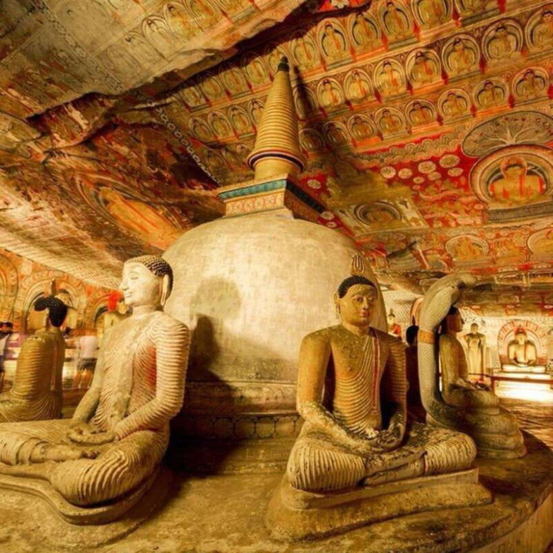 Sri Lanka: 5-Day Cities and Nature Round Tour from Colombo - Good To Know