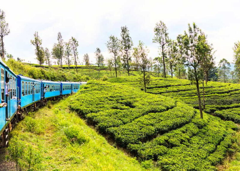 Sri Lanka 5-Day Private Country Side Tour Car, Hotels, Food - Important Packing Tips