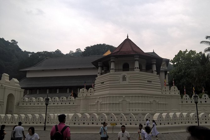 Sri Lanka 5 Day Privet Tour - Pricing and Booking Details